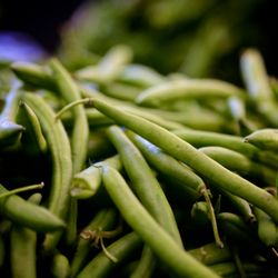 North Center Farmer's Market