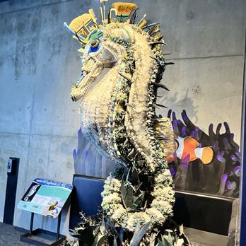 Tennessee Aquarium - Aquariums Near Me - Chattanooga, Tennessee Tennessee Aquarium - Aquariums Near Me - Chattanooga, Tennessee