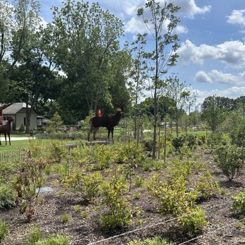 Dorothea Dix Park - Reindeer's - Parks Near Me - Raleigh, North Carolina