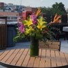 Barbara's Flower Shop gift card