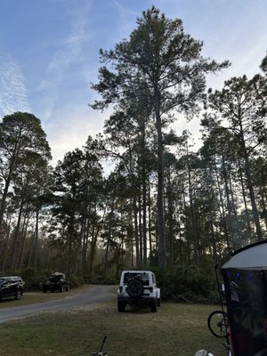 Stephen C Foster State Park by null