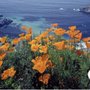 Photo of Raina Tachmuradova - eXp Realty Of California