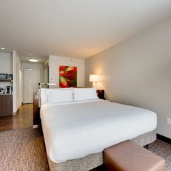 Hilton Garden Inn North Houston Spring - Guest room