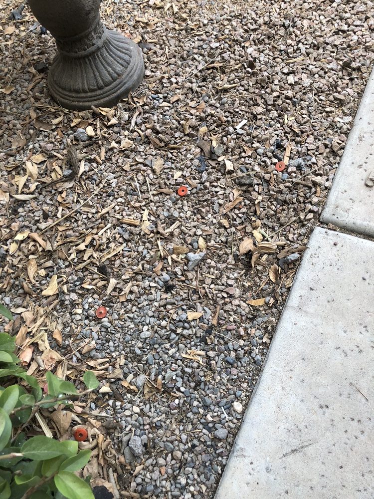 FIVE GUYS ROOFING Updated October 2024 166 Photos & 74 Reviews