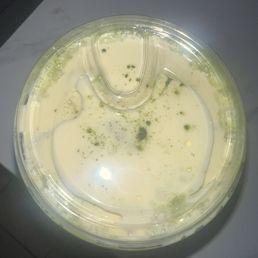 Mango matcha latte