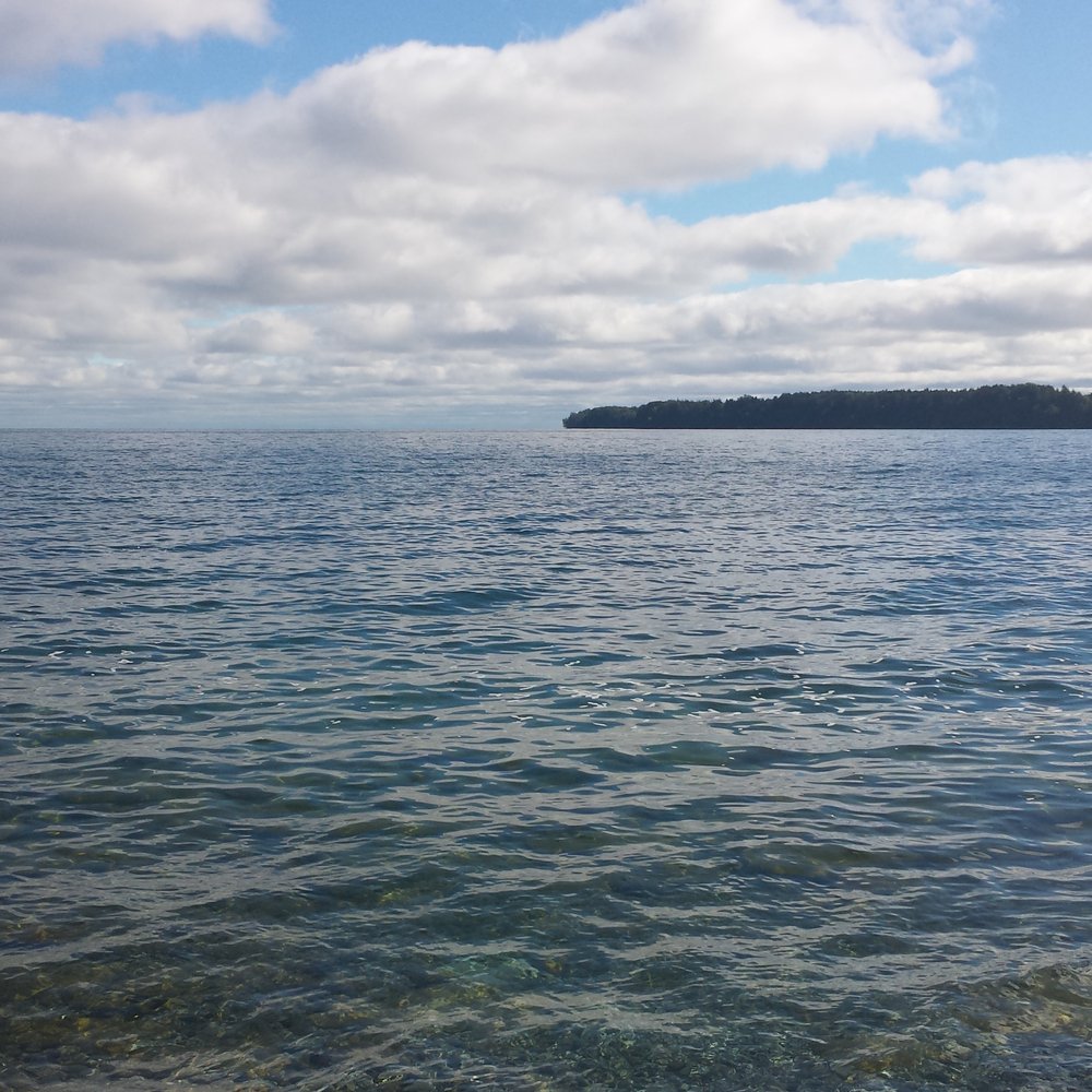 Little Bluff Conservation - Parks Near Me - Picton