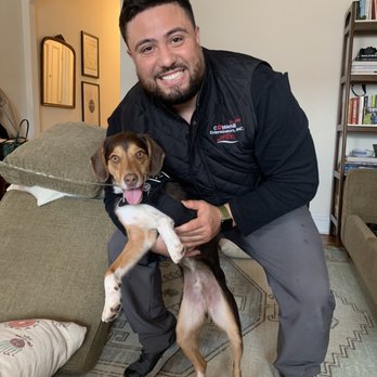 Cobblehill Exterminators - We provide Dog inspections to track Bed Bugs! - Pest Control Near Me Cobblehill Exterminators - We provide Dog inspections to track Bed Bugs! - Pest Control Near Me