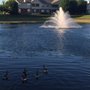 Foxfire At Valley Lakes