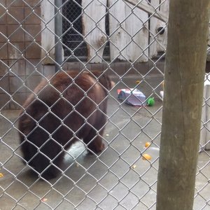 APPLEGATE PARK ZOO - 111 Photos & 45 Reviews - 1045 W 25th St, Merced ...