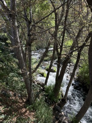 Briar Patch Inn by null