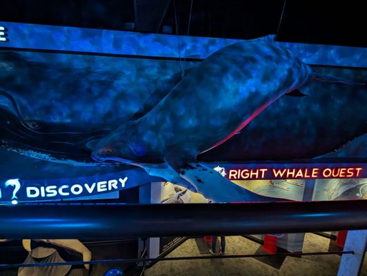 North Carolina Aquarium at Fort Fisher by null