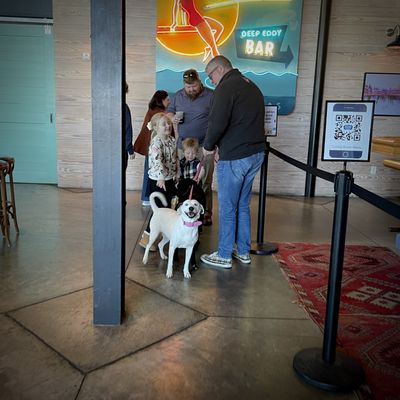 Deep Eddy Vodka Tasting Room by null