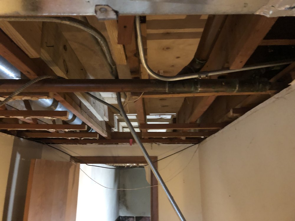 Slide of The Fair Plumber