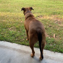 My big baby all clean again