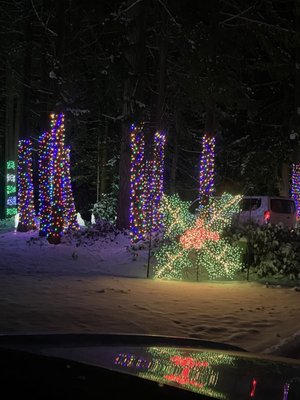 The Lights of Christmas by null