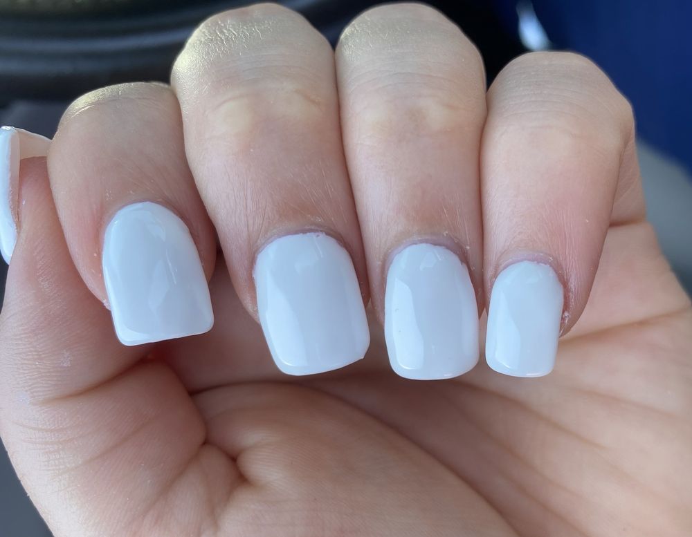 AREENAIL Updated August 2024 15 Photos & 45 Reviews 100 Summerhill Rd, Spotswood, New