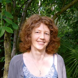 Sue Thomas Therapies