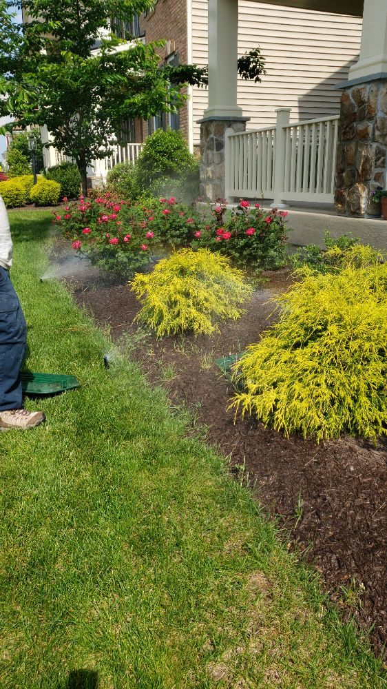 Slide of A's Irrigation System