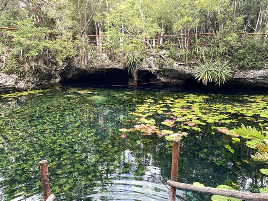 Two Eyes Cenote by null