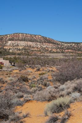 Coral Pink Sand Dunes State Park by null
