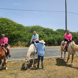 Equus Rides