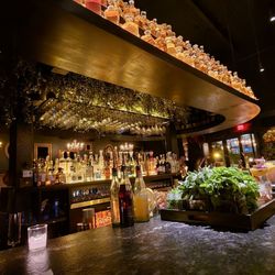 Sante - Bar