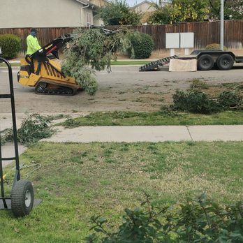 Travis Tree Service - Front yard cleanup - Tree Services Near Me - Fresno, California