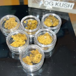 Green Leaf Oasis - 1G Crumble