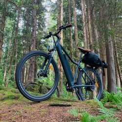 On The Trail E- Bike Rentals
