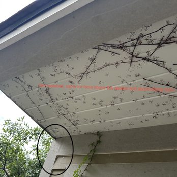 Flecksable Services - Damage Restoration Near Me