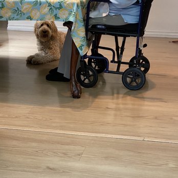Refine Your K9 - Thank you alaina for making this possible - Pet Training Near Me Refine Your K9 - Thank you alaina for making this possible - Pet Training Near Me