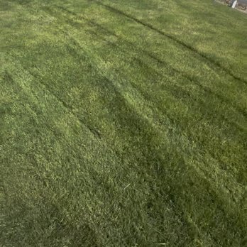 Eagle Rock - Glad you drove through the lawn with a dump truck. - Building Supplies Near Me - Kennewick, Washington Eagle Rock - Glad you drove through the lawn with a dump truck. - Building Supplies Near Me - Kennewick, Washington