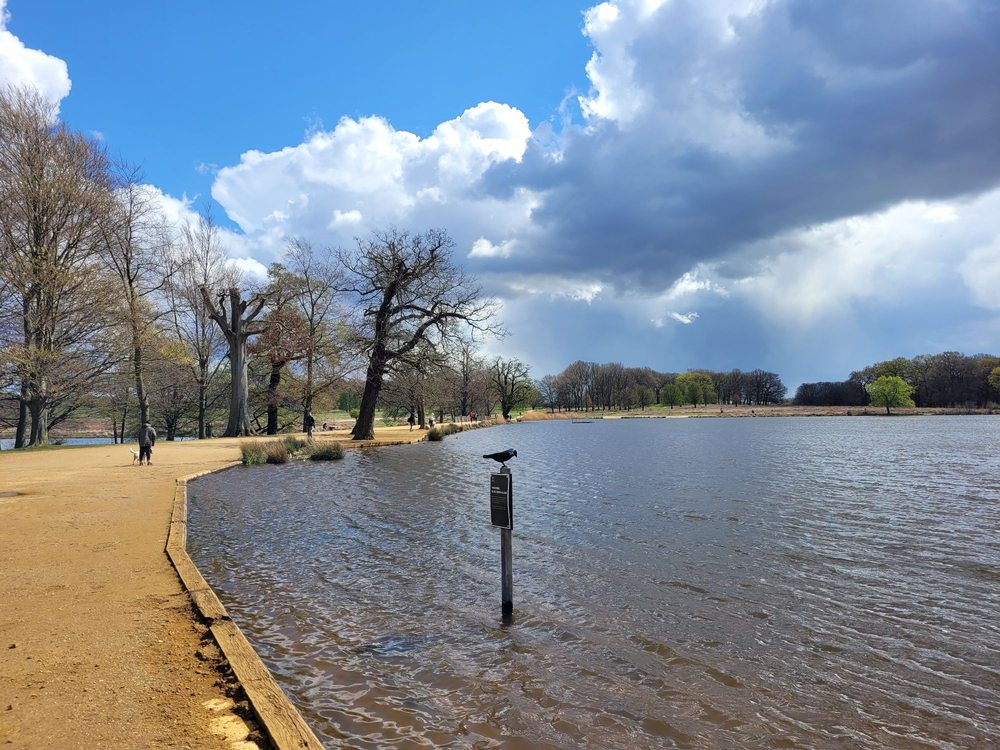 Richmond Park