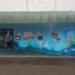The Nautilus Tropical Fish - Front of building.