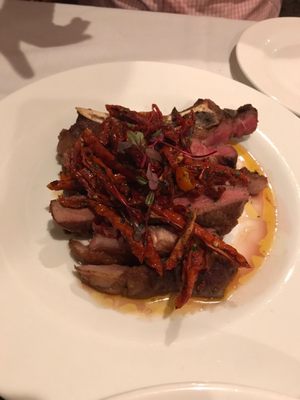 Bella Colibri by null