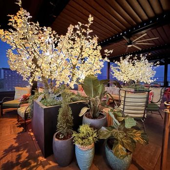 Juniper - Patio - New American Near Me - Greenville, South Carolina Juniper - Patio - New American Near Me - Greenville, South Carolina
