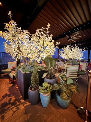 Juniper - Greenville by null