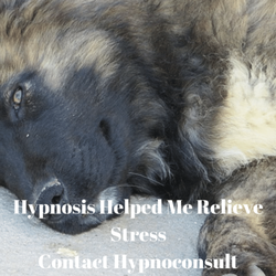 Hypnoconsult - It worked for him. It can work for you.