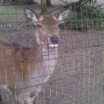 Tilgate Park Nature Centre - Parks Near Me - Crawley, WSX