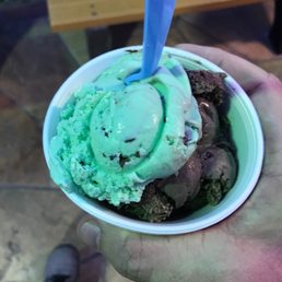 Mint Chocolate Chip Ice Cream