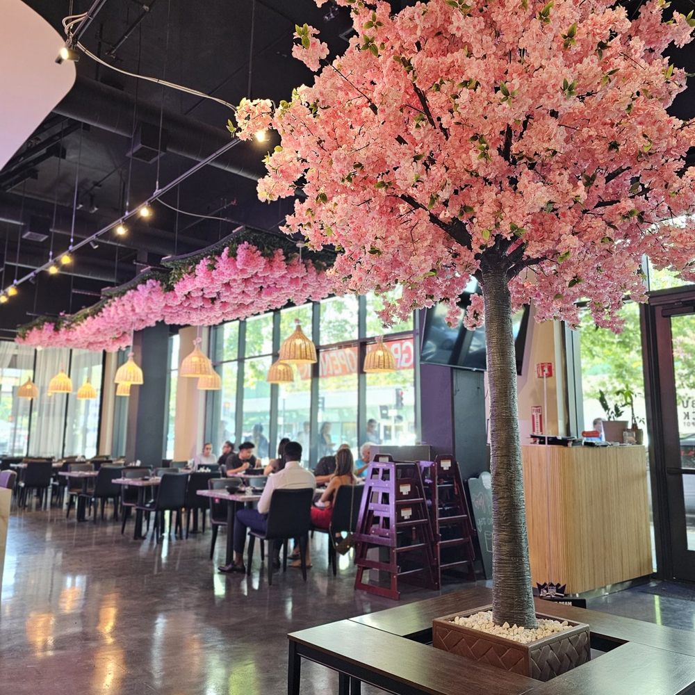 Shabu Shack - Japanese Near Me - Sacramento, California Shabu Shack - Japanese Near Me - Sacramento, California