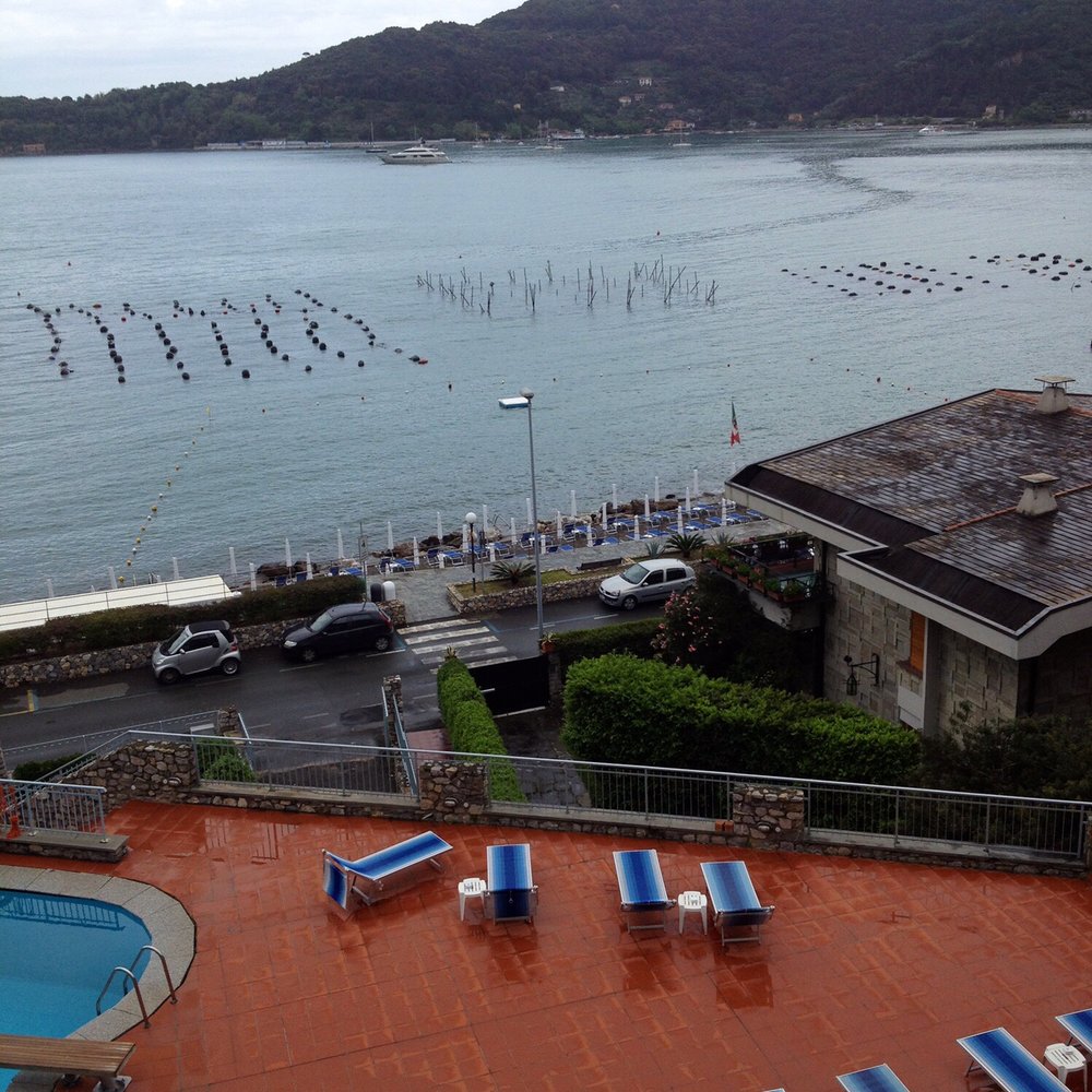 Albergo Royal Sporting - View from the hotel window of the pool area - Venues & Event Spaces Near Me - Portovenere, SP