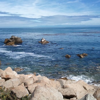 Monterey Bay Coastal Trail - Bird Rock, 17 Mile Drive Pebble Beach. Do NOT stop at Seal Rock(trust me!). - Hiking Near Me