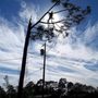 Photo of B&B Tree Service