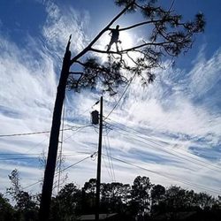 B&B Tree Service