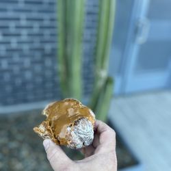 Parlor Doughnuts