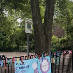 Laurel Street Park