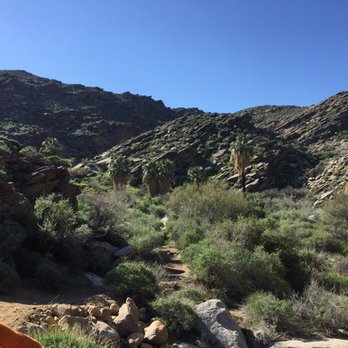 Trail Discovery Hiking Tours - Nature - Walking Tours Near Me