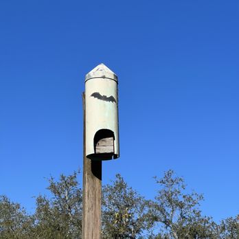 Lake Louisa State Park - Parks Near Me - Clermont, Florida