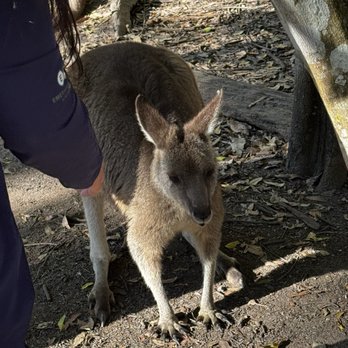 Australia Zoo - Zoos Near Me - Beerwah, QLD